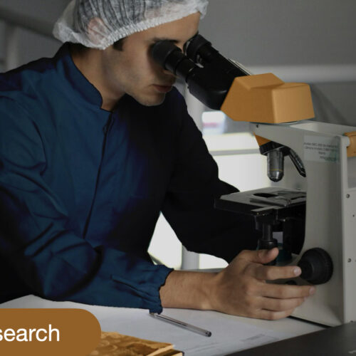 Introduction to Medical Research